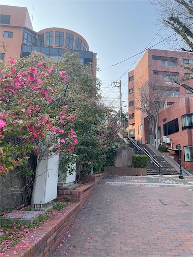 f:id:kamemochi:20260331085358j:image