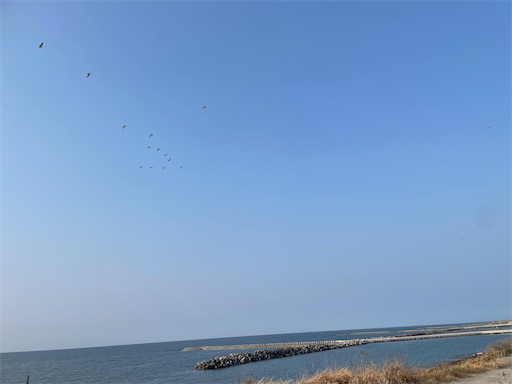 f:id:kamemochi:20260331085404j:image