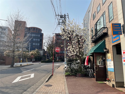 f:id:kamemochi:20260331085406j:image