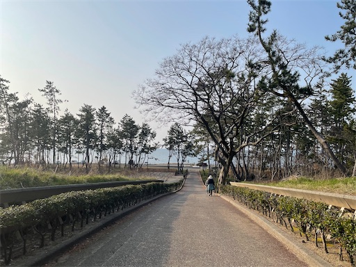 f:id:kamemochi:20260331085414j:image