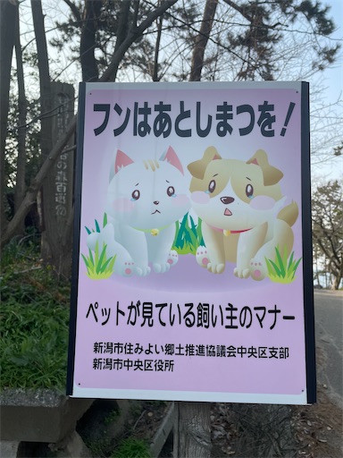 f:id:kamemochi:20260331085805j:image