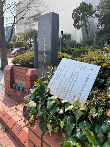 f:id:kamemochi:20260331200757j:image