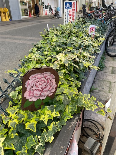 f:id:kamemochi:20260331200808j:image