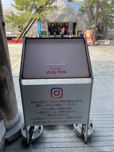 f:id:kamemochi:20260331201156j:image