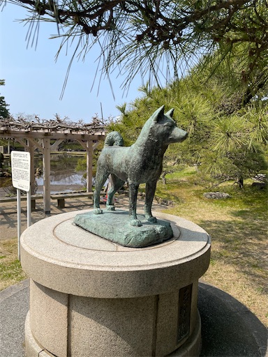 f:id:kamemochi:20260331201232j:image