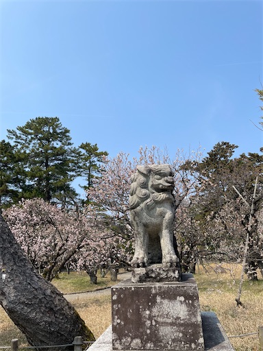 f:id:kamemochi:20260331201255j:image