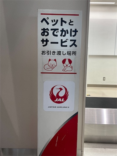 f:id:kamemochi:20260331201538j:image