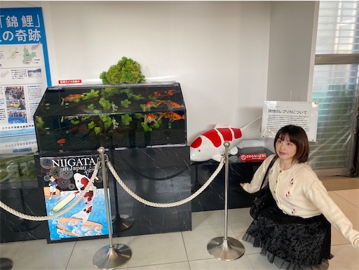 f:id:kamemochi:20260407200451j:image