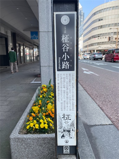 f:id:kamemochi:20260408185408j:image