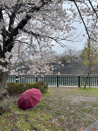 f:id:kamemochi:20260410123017j:image