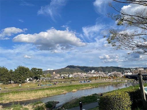 f:id:kamemochi:20260410123020j:image