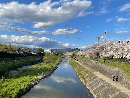f:id:kamemochi:20260410123024j:image