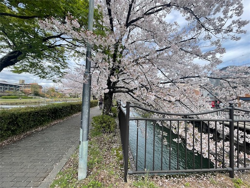 f:id:kamemochi:20260410123028j:image