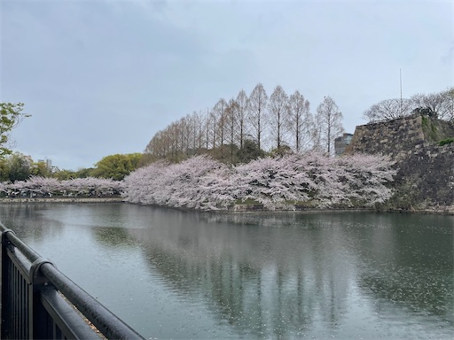 f:id:kamemochi:20260410123034j:image
