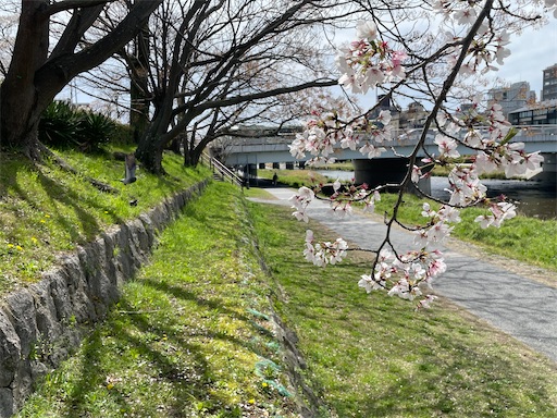 f:id:kamemochi:20260410123042j:image