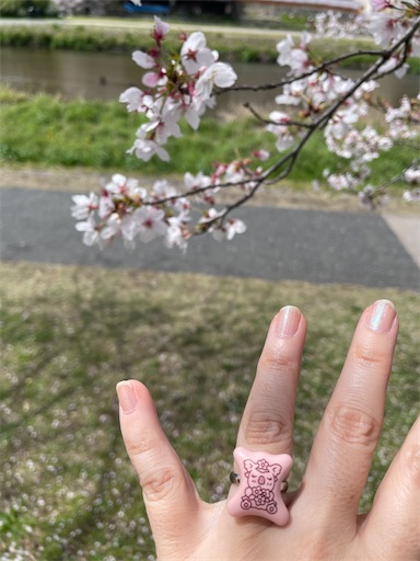 f:id:kamemochi:20260410123050j:image