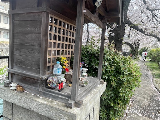 f:id:kamemochi:20260411013441j:image