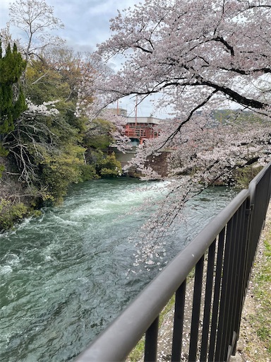f:id:kamemochi:20260411013443j:image