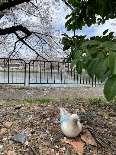 f:id:kamemochi:20260411013452j:image
