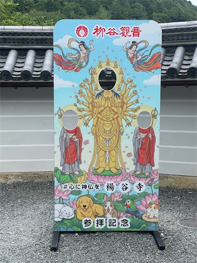 f:id:kamemochi:20260621110752j:image f:id:kamemochi:20260621110752j:image