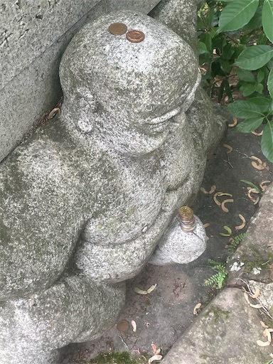 f:id:kamemochi:20260621110755j:image f:id:kamemochi:20260621110755j:image