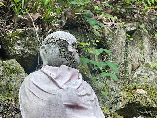 f:id:kamemochi:20260621110759j:image f:id:kamemochi:20260621110759j:image