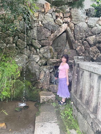 f:id:kamemochi:20260621110849j:image f:id:kamemochi:20260621110849j:image