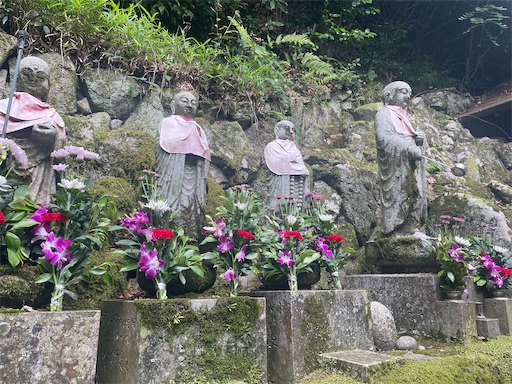 f:id:kamemochi:20260621110858j:image f:id:kamemochi:20260621110858j:image
