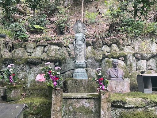 f:id:kamemochi:20260621110903j:image f:id:kamemochi:20260621110903j:image