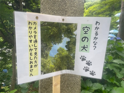 f:id:kamemochi:20260722193439j:image