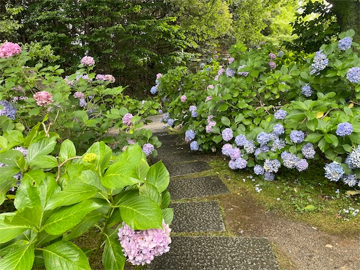 f:id:kamemochi:20260722193455j:image