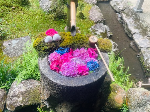 f:id:kamemochi:20260722193509j:image