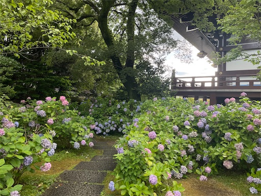 f:id:kamemochi:20260722193516j:image