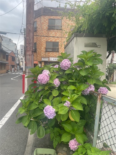 f:id:kamemochi:20260722193529j:image