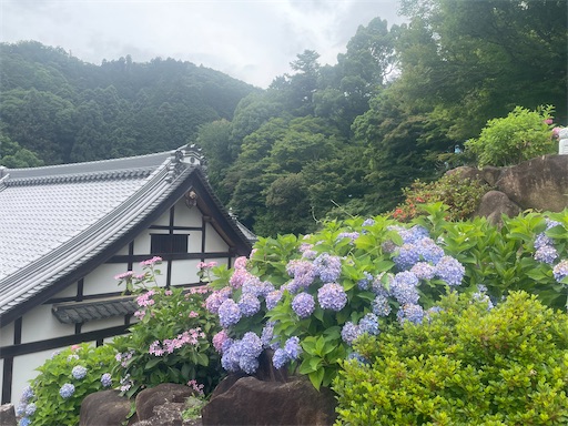 f:id:kamemochi:20260722194047j:image