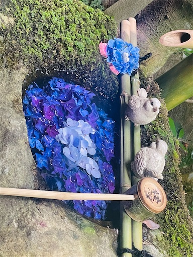 f:id:kamemochi:20260722194102j:image