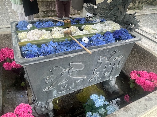 f:id:kamemochi:20260722194106j:image