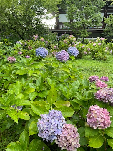 f:id:kamemochi:20260722194118j:image