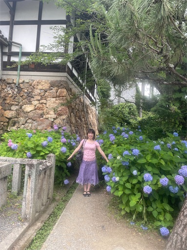 f:id:kamemochi:20260722194122j:image