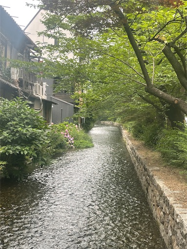 f:id:kamemochi:20260722194129j:image