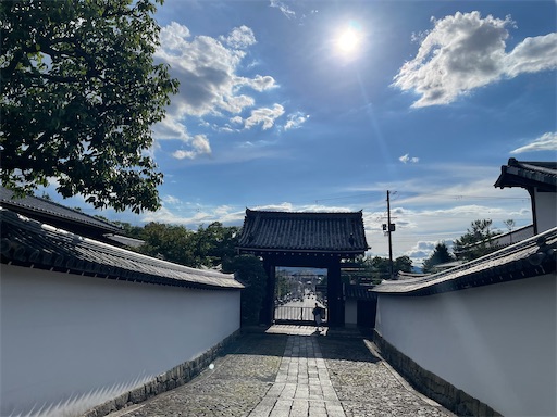 f:id:kamemochi:20260725230243j:image