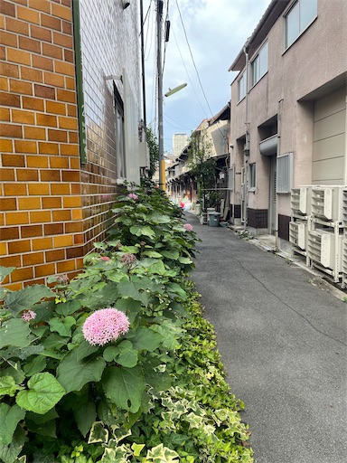 f:id:kamemochi:20260805202347j:image