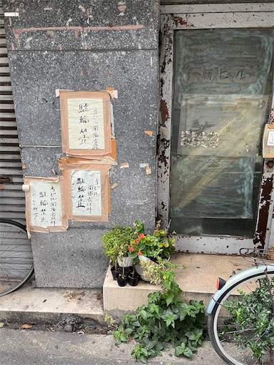 f:id:kamemochi:20260823114326j:image
