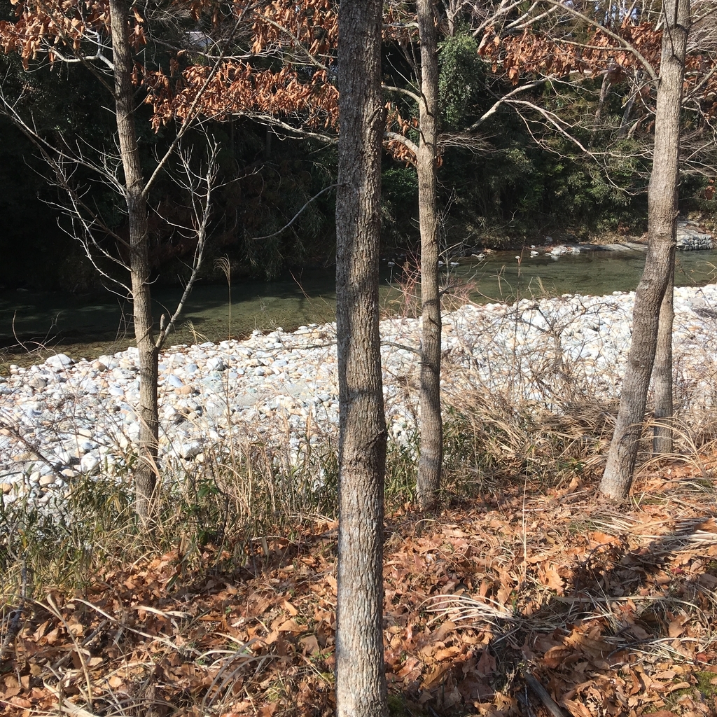 f:id:kamenarien:20190205124258j:plain f:id:kamenarien:20190205124258j:plain
