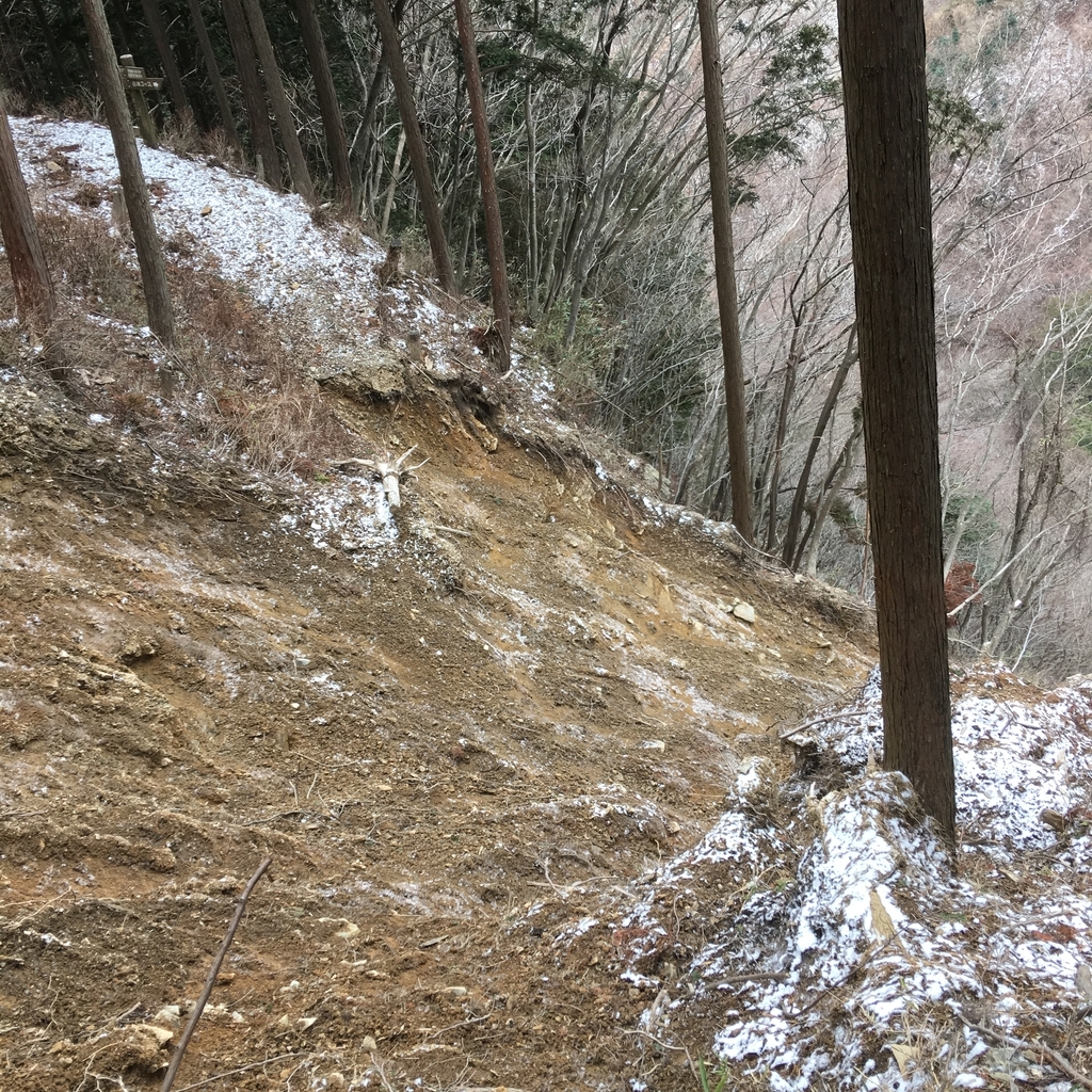 f:id:kamenarien:20190214211432j:plain f:id:kamenarien:20190214211432j:plain
