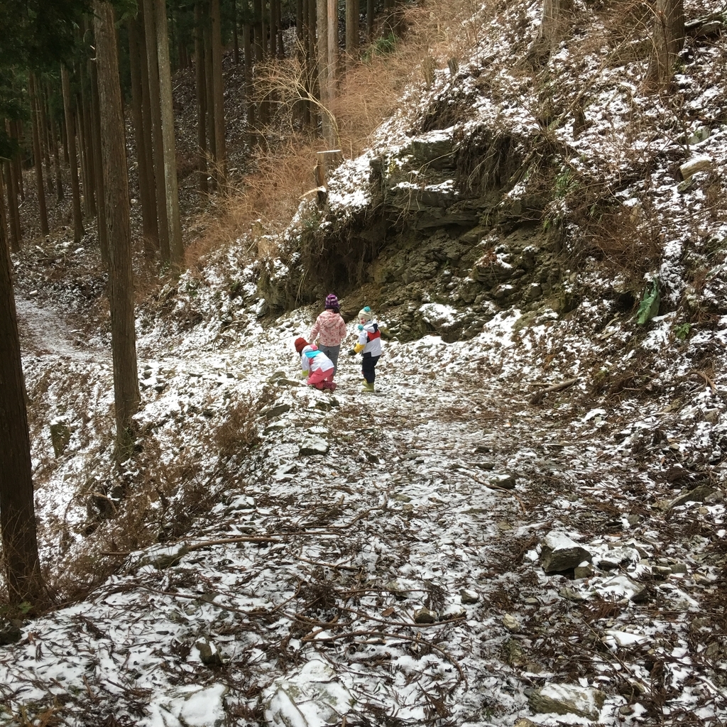 f:id:kamenarien:20190214211543j:plain f:id:kamenarien:20190214211543j:plain