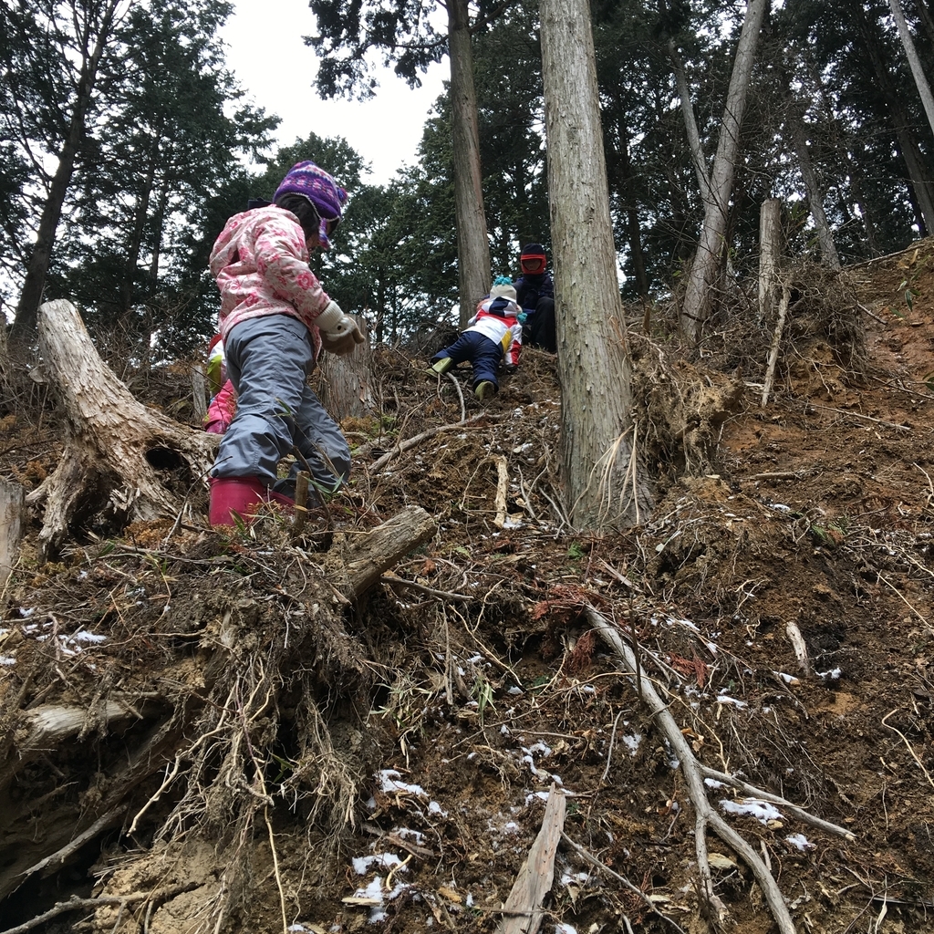 f:id:kamenarien:20190214211741j:plain f:id:kamenarien:20190214211741j:plain