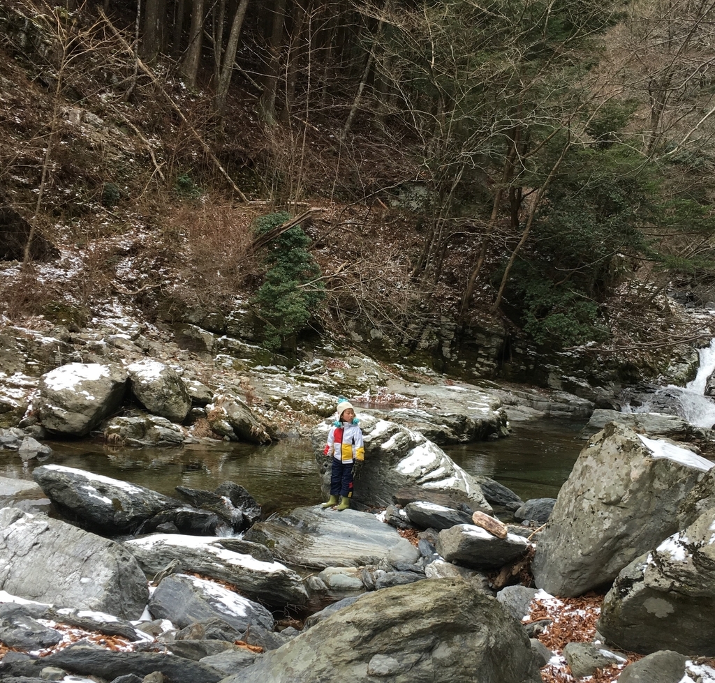 f:id:kamenarien:20190214211942j:plain f:id:kamenarien:20190214211942j:plain