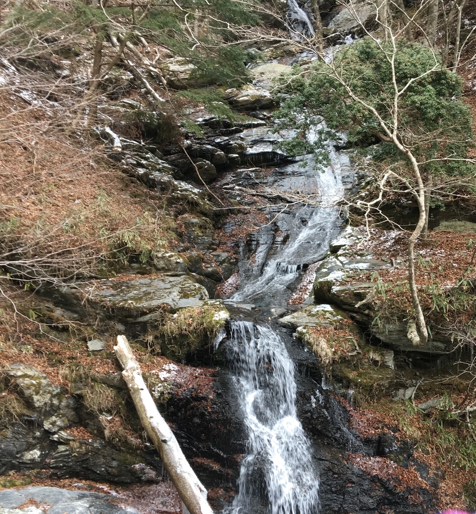 f:id:kamenarien:20190214212149j:plain f:id:kamenarien:20190214212149j:plain