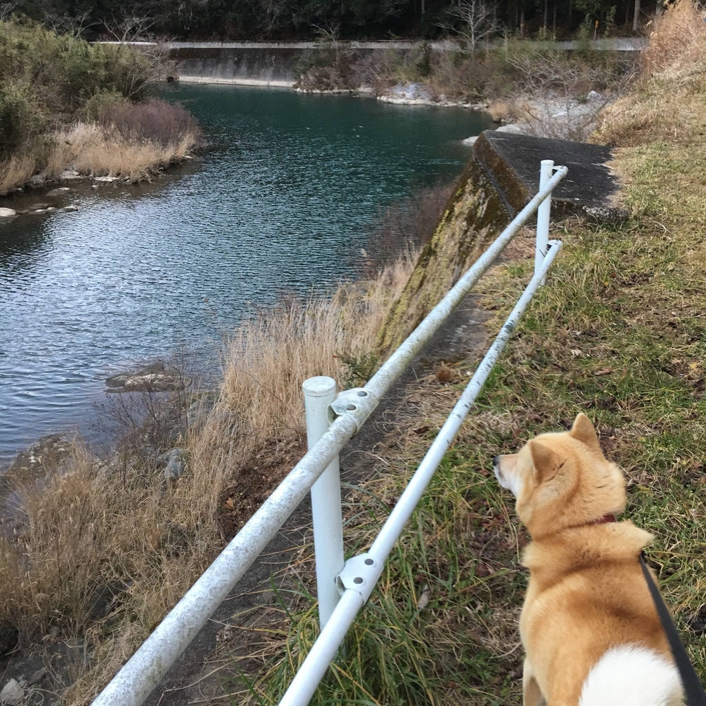 f:id:kamenarien:20190228181751j:plain f:id:kamenarien:20190228181751j:plain